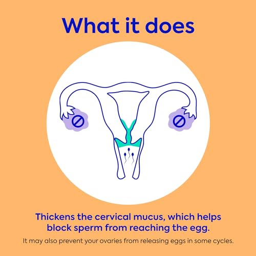 Opill Daily Oral Birth Control Pills - 3 Month - 84Ct